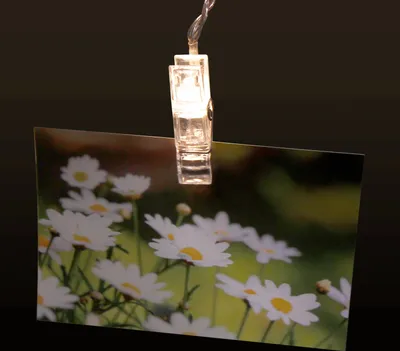 Produktbild von LED Lichterkette mit 50 Clips McShine, warmweiß, transparent, Batteriebetrieb