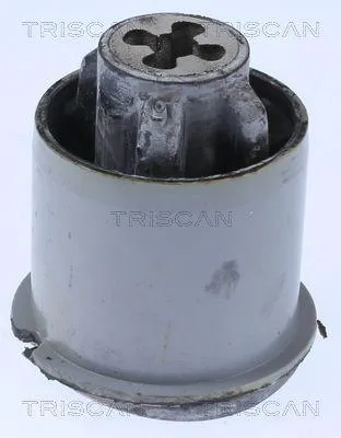 Produktbild von TRISCAN 8500 25876 Achslager für RENAULT SCÉNIC II (JM0/1)