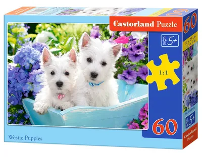 Produktbild von Puzzle mit 60 Teilen: Welpen 066100