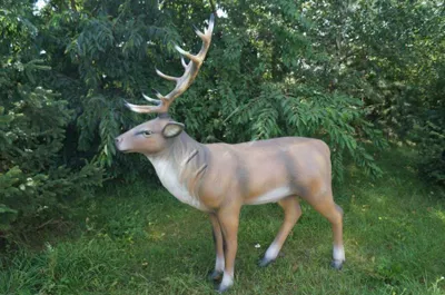 Image de Design, Hirsch, figurine, jardin, statue, sculpture, décorations