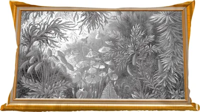 Produktbild von MuchoWow® Zierkissen Sofakissen Wohnzimmer Dekokissen 60x40 cm Kunstwerke - Alte Meister - Rahmen - Gold - Kopfkissen - Polster mit Foto