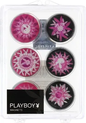 Produktbild von Playboy Magnete 6er Set Bloom
