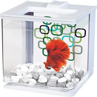 Zdjęcie produktu dla Marina Betta EZ Care Bettera, 2,5 l, Weiß