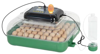 Brutmaschine 53 Eier, automatisch, Temperatur & Feuchte