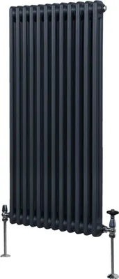 Imagen del producto de Calentador tradicional de dos columnas - 1500 x 562 mm - Gris antracita