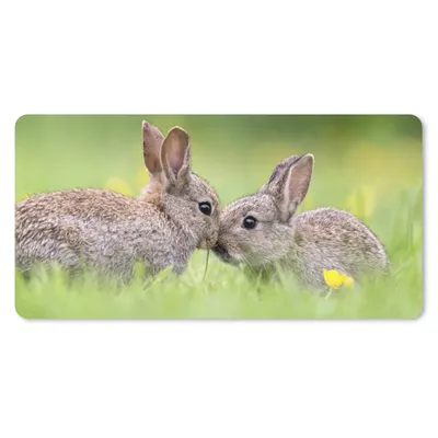 Produktbild von MuchoWow® Schreibtischunterlage Kaninchen - Baby - Gras 80x40 cm - XXL Mauspad - Gaming Mauspad