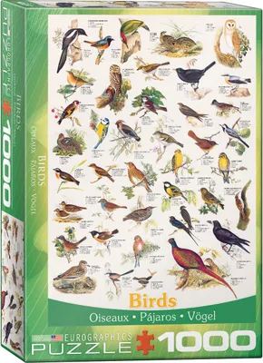 Produktbild von 1000 Teile Puzzle - Puzzle - Die Welt der Vögel + Puzzle Alu Rahmen für 1000er