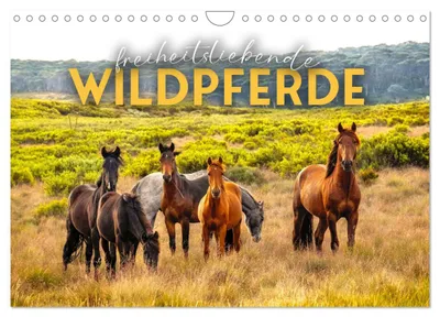 Produktbild von Freiheitsliebende Wildpferde (Wandkalender 2027 DIN A4 quer), CALVENDO Monatskalender
