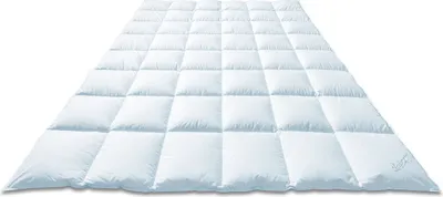 Produktbild von Künsemüller Daunenbettdecke, 100% Daunen, Mako Batist, Labrador 6x8 Medium, 528g Füllung, Daunen Klasse 1, Bramscher Tuch, atmungsaktiv, feuchtigkeitsausgleichend, für Hausstauballergiker geeignet, waschbar bei 60°C, großflockige Daunen von freilebenden Tieren