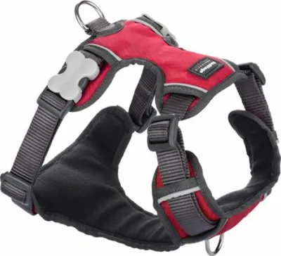 Zdjęcie produktu dla Szelki dla psa Dingo Padding Red Rozmiar XL