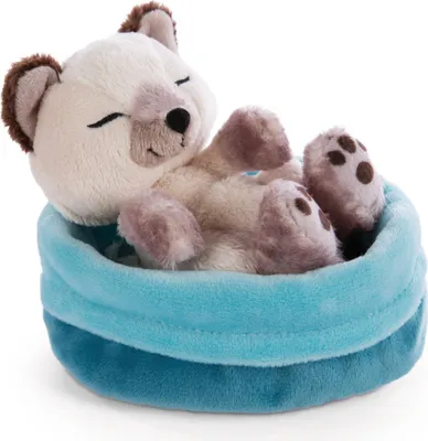 Produktbild von NICI Kuscheltier Katze im Körbchen 12 cm – Sleeping Pets Plüschtier Siam-Katze für Mädchen, Jungen & Babys – Stofftier Katze zum Kuscheln, Spielen & Schlafen – Gemütliches Schmusetier