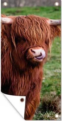 Produktbild von MuchoWow® 30x60 cm Outdoor-Poster Gartendeko Sichtschutz Garten Poster für den Garten  Schottischer Highlander - Porträt - Schottische Kuh