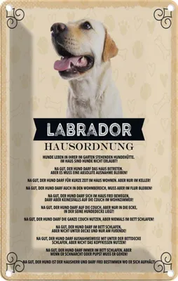 Image de vianmo Plaque en tôle 18x12 cm Tiere Labrador Hausordnung Hunde