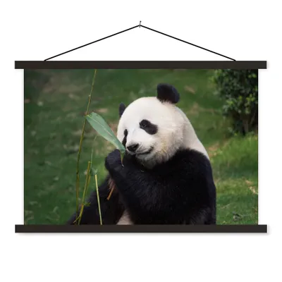 Produktbild von MuchoWow® Textilposter Pandabär - Wilde Tiere - Blätter 150x100 cm mit schwarzem Rahmen - Schlafzimmer
