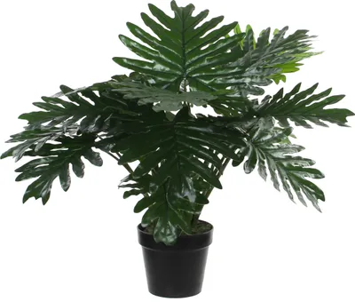 Produktbild von Mica Decorations Philodendron Kunstpflanze - H60 x Ø70 cm - Grün