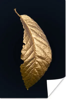 Produktbild von MuchoWow® Poster Blätter - Luxus - Gold - Schwarz - Natur 80x120 cm - Papierdruck