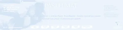 Produktbild von Clairefontaine Papier für Pastellmalerei, 5 Bogen 70x100cm Weiß 396010C