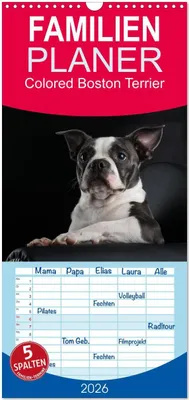 Produktbild von Familienplaner 2026 - Colored Boston Terrier 2026 mit 5 Spalten (Wandkalender, 21 x 45 cm) CALVENDO