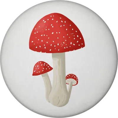 Produktbild von Viel Glück Magnet rund mit Flaschenöffner mit Fliegenpilz