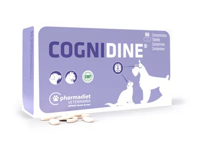 Obrázek produktu pro Cognidine 60tbl.