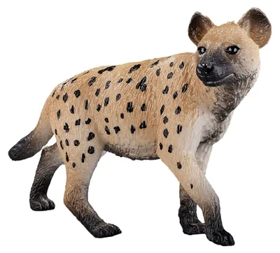 Produktbild von Animal Planet Hyäne