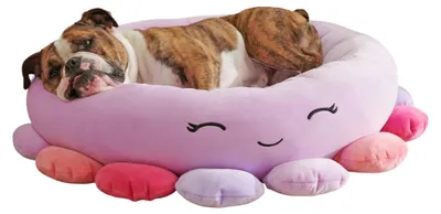 Zdjęcie produktu dla Squishmallows JPT0088 - Beula, legowisko dla zwierząt w kształcie ośmiornicy, 75 cm, oficjalna pluszowa zabawka firmy Jazwares, wyjątkowo miękkie legowisko dla zwierząt – rozmiar L, wymiary: 76 x 76 x 18 cm
