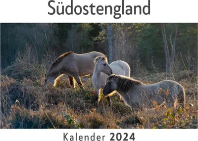 Produktbild von Südostengland (Wandkalender 2024, Kalender DIN A4 quer, Monatskalender im Querformat mit Kalendarium, Das perfekte Geschenk)