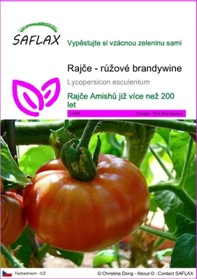 Obrázek produktu pro SAFLAX - Rajče - růžové brandywine - Lycopersicon esculentum - 10 Semena