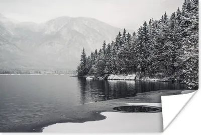 Produktbild von MuchoWow® Poster Wasser - Winter - Natur - Kiefernbaum 180x120 cm - Fotoplakat
