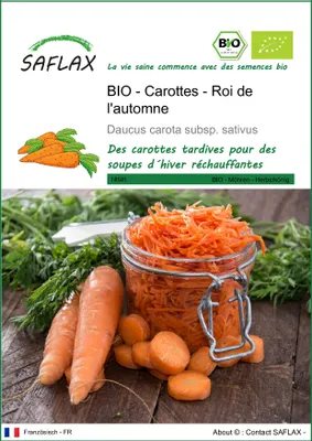 Image de SAFLAX  -- Carottes - Roi de l'automne - 1000 graines - Daucus