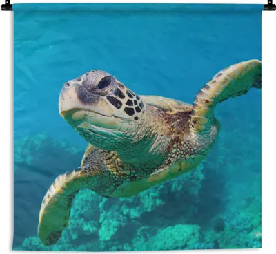 Produktbild von MuchoWow® Wandteppich Wandbehang Meeresschildkrötenschwimmen auf Hawaii 60x60 cm Tapisserie Dekoration Wandtuch - Dekorationen - Wand Decke