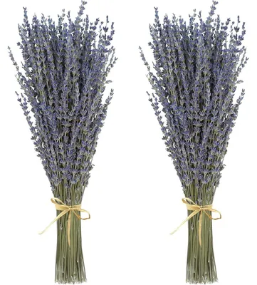 Zdjęcie produktu dla 2 sztuki suszonych kwiatów lawendy, ok. 40 cm, bukiet lawendy, dekoracja w stylu boho