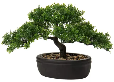 Productafbeelding van Kunstplant, bonsai-stijl, levensechte kunstplant, kunstboom, bonsai, cedra, den, steeneik, plasticplant, kunstplant met zwarte keramische pot, geschikt voor badkamer, bureau, kantoor, vensterbank