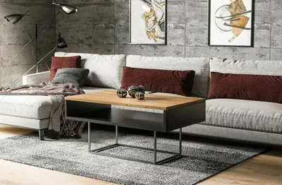 Image de Endo-Möbel Table basse Enna 100x60x53 cm Table de salon avec rangement (chêne Wotan)