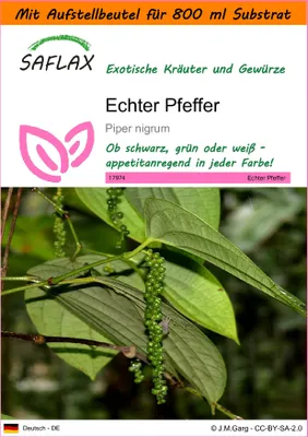 Produktbild von SAFLAX Garden in the bag - Echter Pfeffer - Piper nigrum - 20 Samen - Mit Anzuchtsubstrat im praktischen, selbst aufstellenden Beutel