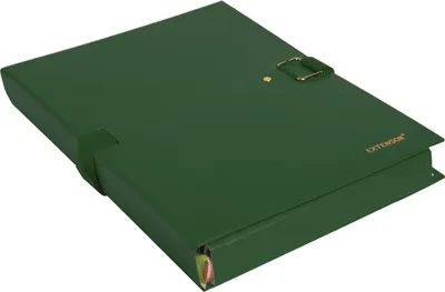 Produktbild von Exacompta 10x Präsentationsmappe Dehnbar Rücken EXTENSOR® - Grün - 22007E
