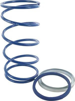 Image de Ressort de rappel Polini Evo-Slider, diamètre 3,8 mm, pour Yamaha Aerox 50 Cat à partir de 2003