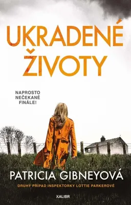 Zdjęcie produktu dla Ukradené životy | Patricia Gibney