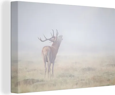 Obrázek produktu pro OneMillionCanvasses® - Obrazy na plátně - 140x90 cm, Jelen - Tráva - Mlha, nástěnné umění Vytisknout Nástěnná dekorace