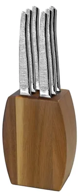 Steakmesser-Set 6-tlg. mit Acacienholzblock, 13 C Edelstahl