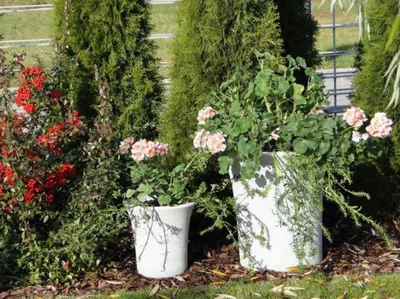 Immagine prodotto di Fioriera Decorazione Figura Vasi da giardino Vaso 204056