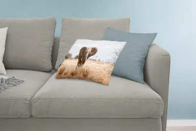 Produktbild von MuchoWow® Zierkissen Sofakissen Wohnzimmer Dekokissen 60x40 cm Elefant - Natur - Tiere - Porträt - Kopfkissen - Polster mit Foto