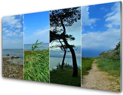 Produktbild von Acrylglasbilder 100x50 Wandbild Druck Strand Baum Fußpfad Landschaft