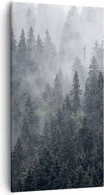 Produktbild von Bild auf Leinwand - Leinwandbild - Wald Baum Natur - 55x100cm - Wand Bild - Wanddeko - Wandbilder - Leinwanddruck - Bilder - Kunstdruck - Wanddekoration - Leinwand bilder - Wandkunst - PA55x100-4074