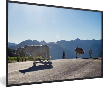 Produktbild von MuchoWow® Gerahmtes Poster Schottische Highlander - Licht - Berge - Natur 90x60 cm - Poster mit Schwarzem Bilderrahmen Wandposter Rahmen Foto Bilder - Fotorahmen - Foto-Plakat
