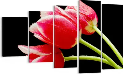 Produktbild von Bild auf Leinwand - Leinwandbild - Tulpe garten blume blumenstrauß - 100x60cm - Wand Bild - Wanddeko - Leinwanddruck - Bilder - Kunstdruck - Leinwand bilder - Wandkunst - EG100x60-1494