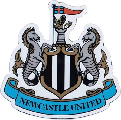 Obrázek produktu pro Newcastle United FC - Magnet na ledničku, Crest BS4696 (Jedna velikost) (Černá/bílá)