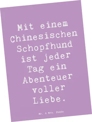 Produktbild von Mr. & Mrs. Panda Postkarte Spruch Chinesischer Schopfhund Abenteuer - Lavendeltraum - Geschenk, haarlose Hunde, Hunderasse, Hunderassen, Pflege, Fotokarte, Postkarten