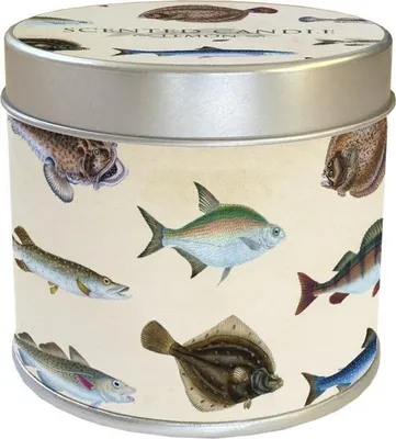 Image de Bougie parfumée 143 - poisson - citron