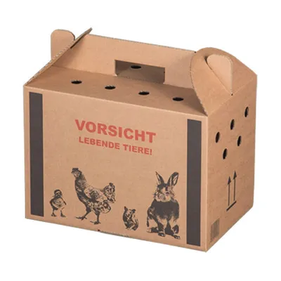 Produktbild von 10x Transportkarton für Kleintiere 320x200x230mm mit Tragegriff Luftlöchern und Automatikboden - Größe S